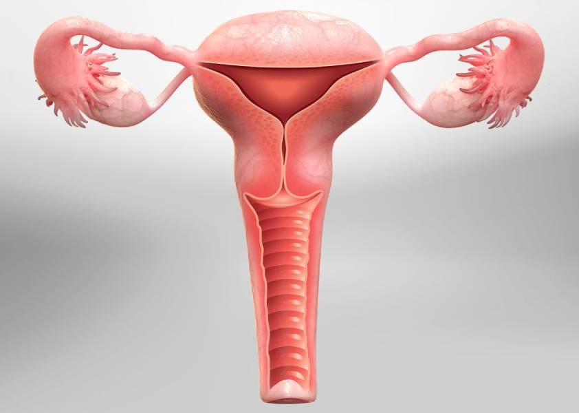 Hysterectomy Surgery and Benefits