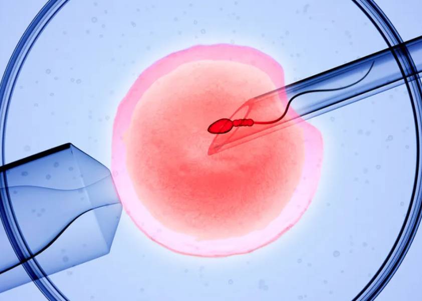 Infertility Treatment in Hinjewadi