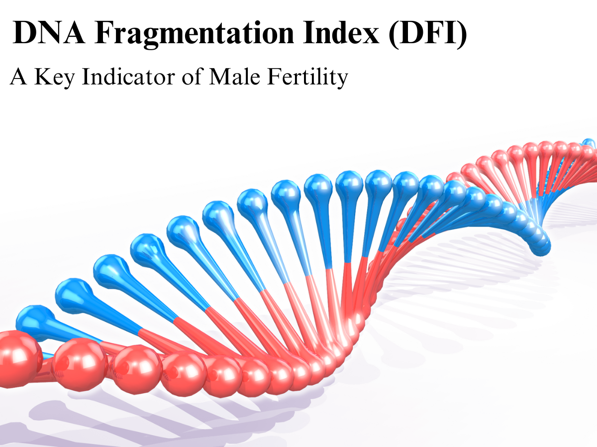 DNA Fragmentation Index (DFI): A Key Indicator of Male Fertility - Dr ...